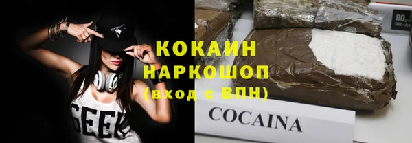 гидра Горняк