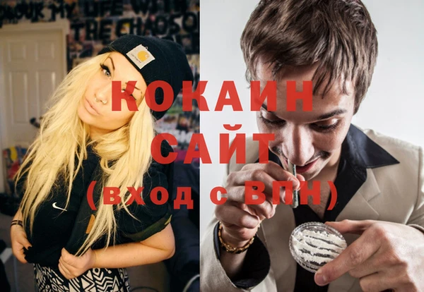 кокс Вяземский