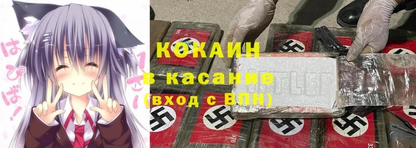 гидра Горняк