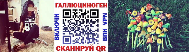 Псилоцибиновые грибы мухоморы дарк нет какой сайт Дорогобуж закладка